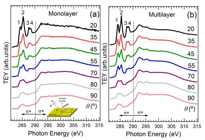 共振光电子能谱研究PTCDA/Au(111)界面结构及电荷传输动力学