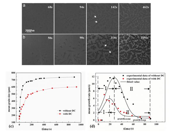 应用同步辐射成像技术实时观察电流用下Sn-Pb合金等轴晶生长行为