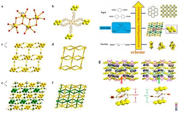 基于四核铀酰节点的铀酰-有机二重穿插网络的模板合成