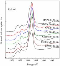 土壤中硫素形态分布及转化研究进展