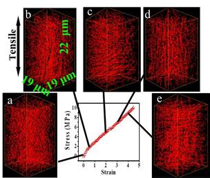 硅橡胶/二氧化硅复合材料在不同应变下的结构演变进行研究