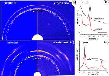 一维受限空间中聚已内酯和聚丙烯的结晶行为