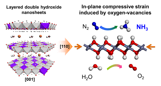 富缺陷超薄二维纳米片高活性光电催化剂研究取得新进展