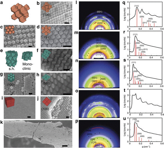 金纳米晶的形状依赖有序化与大范围自组装