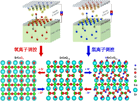 选择性双离子电场调控的三态结构相变及其功能应用的突破性进展