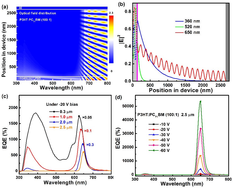 具有超窄带响应的倍增型有机光电探测器