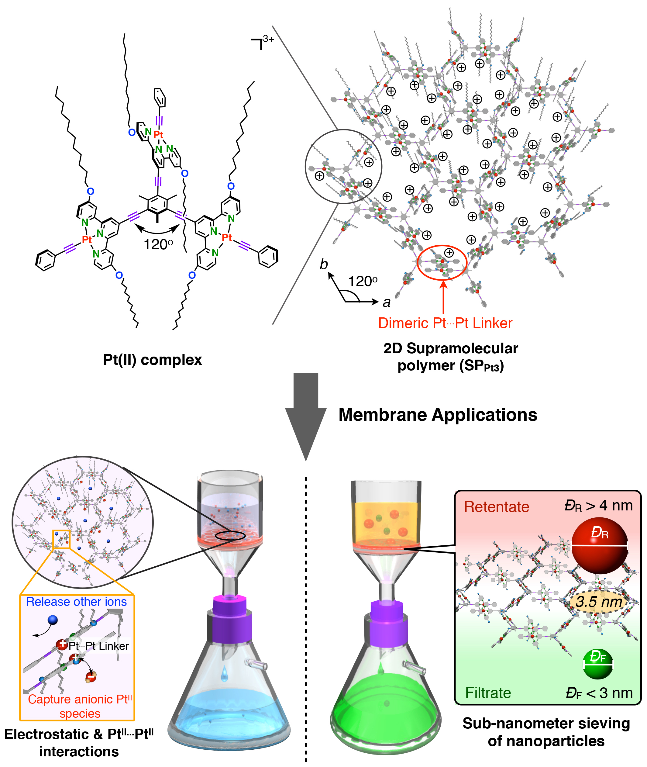 二维超分子聚合物分离膜的应用