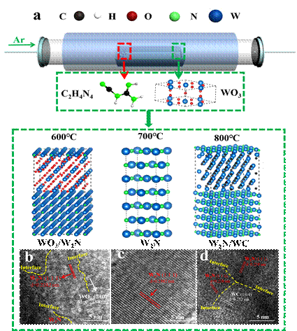 界面工程调控固相合成W2N/WC异质结的ORR, OER, HER三功能电催化性能