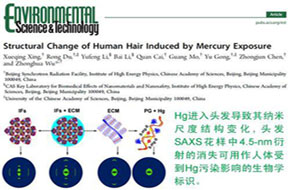BSRF小角X射线散射技术研究汞污染取得新进展